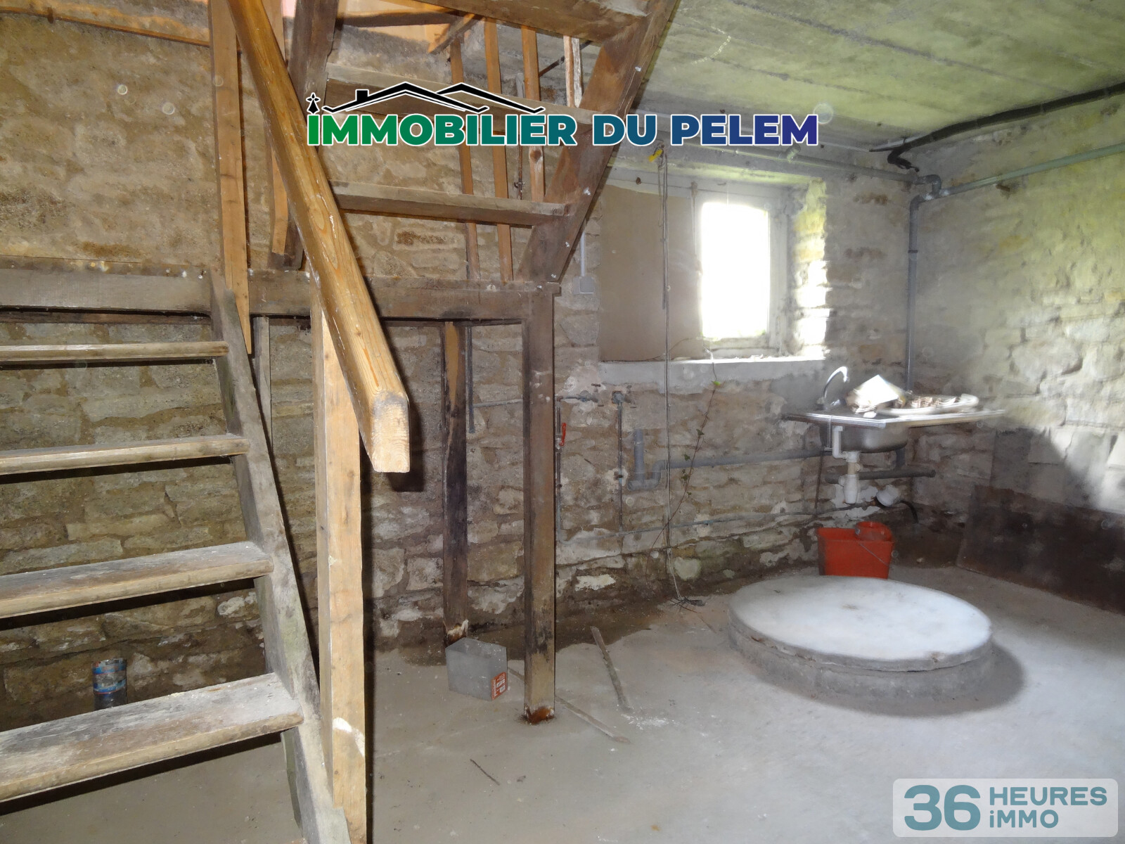 Projet de rénovation : maison familiale avec jardin et sous-sol