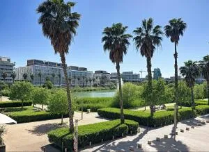 Appartement à Montpellier — vignette 7