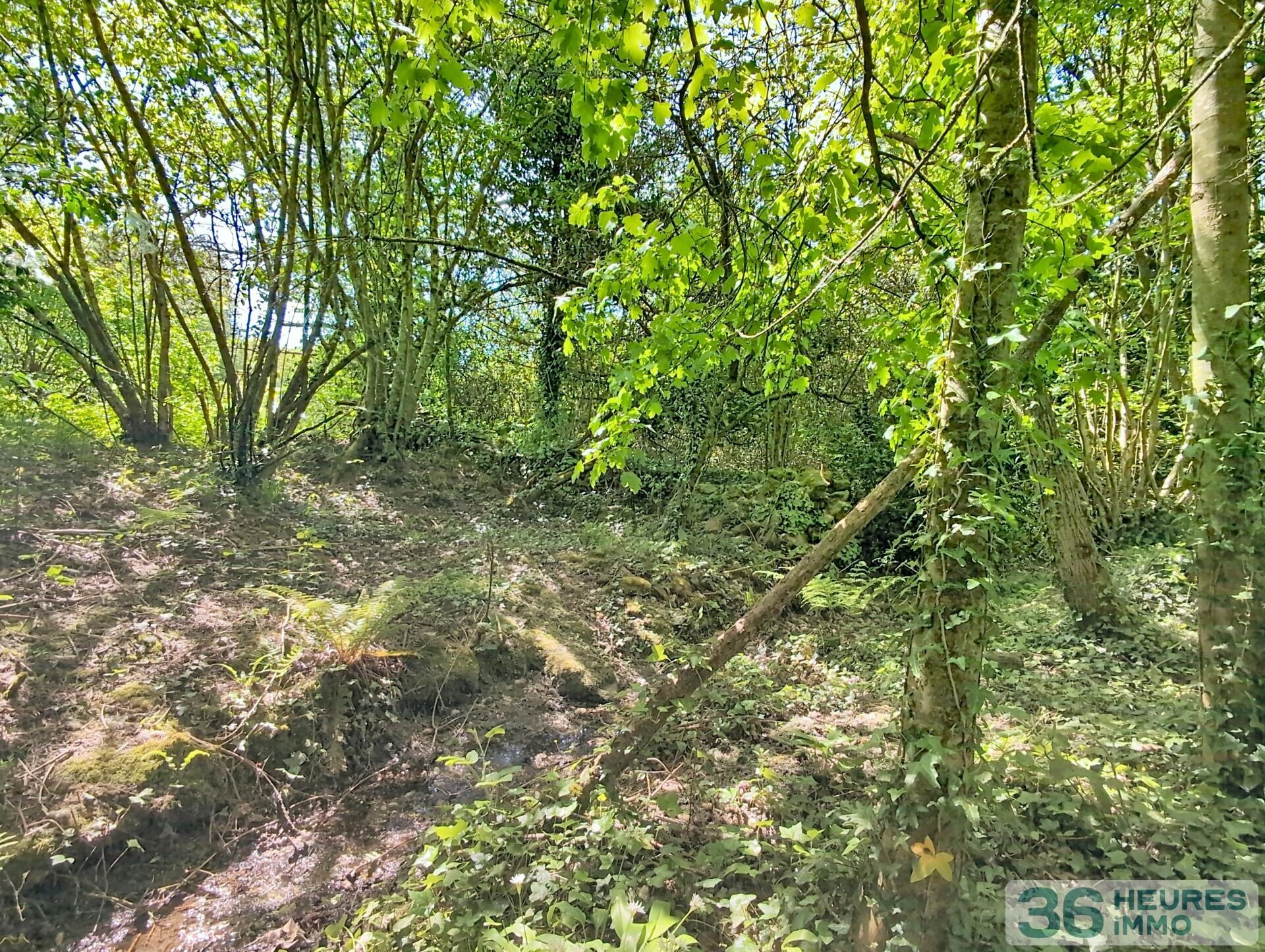 Maison de campagne à finir de Rénover