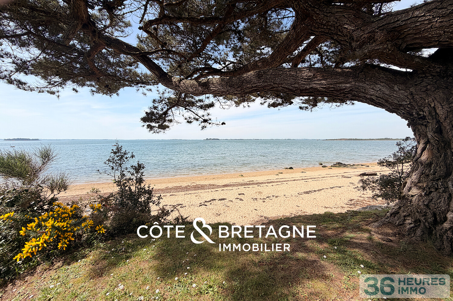 MAISON AVEC VUE MER À SÉNÉ DANS LE MORBIHAN | Réf : 202663