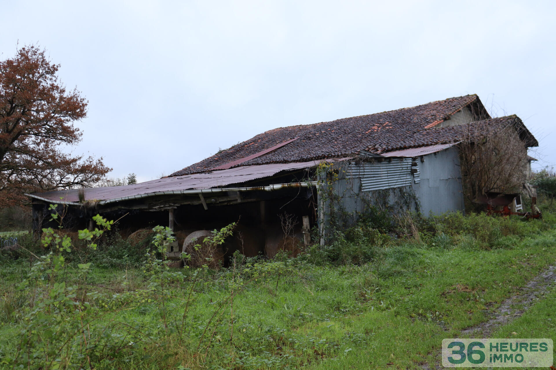 Bien Agricole à Maisonnais-sur-Tardoire — vignette 2