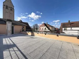 Maison à Strasbourg — vignette 2