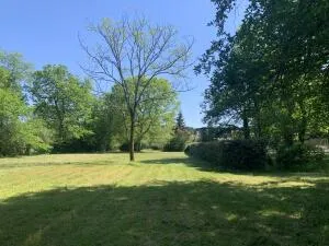 Terrain de Loisirs – Bois - Étang à Mérignac — vignette 2