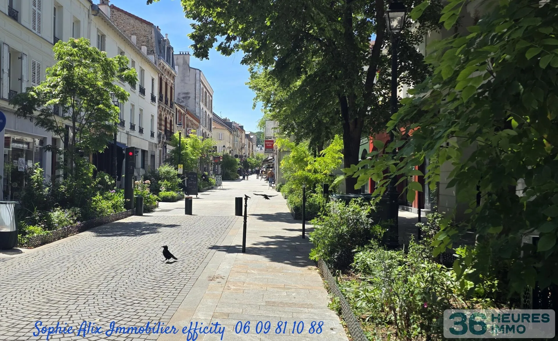 Fonds et/ou Murs Commerciaux à Clamart — vignette 3