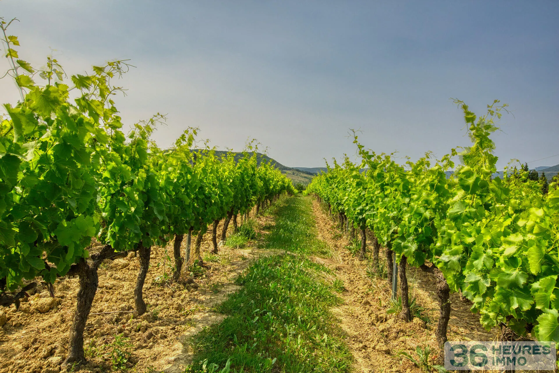 Propriété Viticole à Alba-la-Romaine — vignette 7
