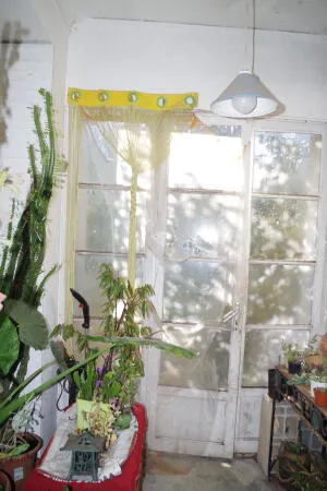 Maison à Périgueux — vignette 4