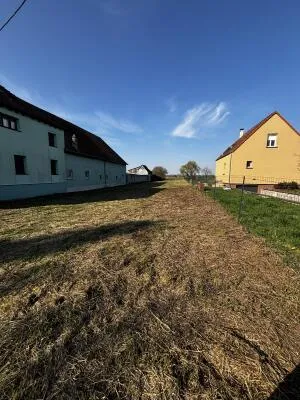 Terrain à Bâtir à Witternheim — vignette 4