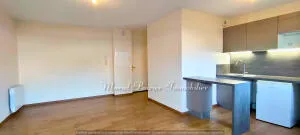 Appartement à La Salvetat-Saint-Gilles — vignette 16