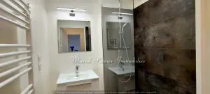 Appartement à La Salvetat-Saint-Gilles — vignette 15