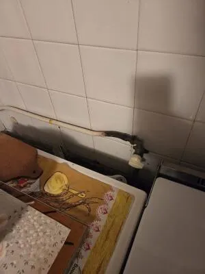 Appartement à Fontaine — vignette 5