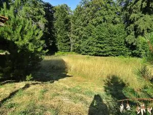 Maison à Chantraine — vignette 3
