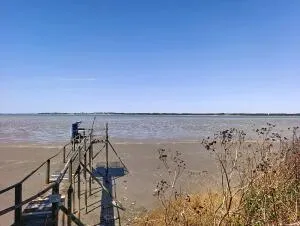 Appartement à Port-des-Barques — vignette 12