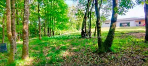 Maison à Labastide-Clermont — vignette 4