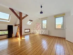 Maison à Strasbourg — vignette 16
