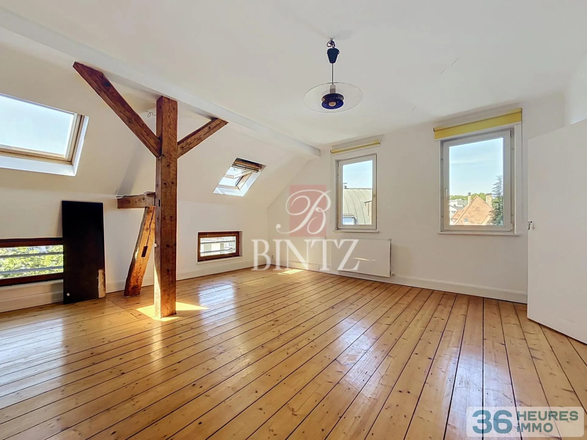 Maison à Strasbourg — vignette 16