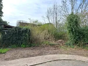 Terrain à Bâtir à Vaux-sur-Somme — vignette 3