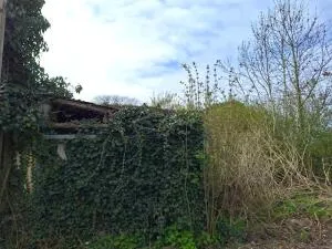 Terrain à Bâtir à Vaux-sur-Somme — vignette 10