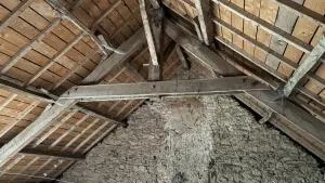 Maison à La Trinité-Porhoët — vignette 7