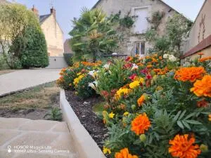 Maison à Sainte-Catherine-de-Fierbois — vignette 6