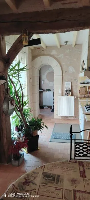 Maison à Sainte-Catherine-de-Fierbois — vignette 13
