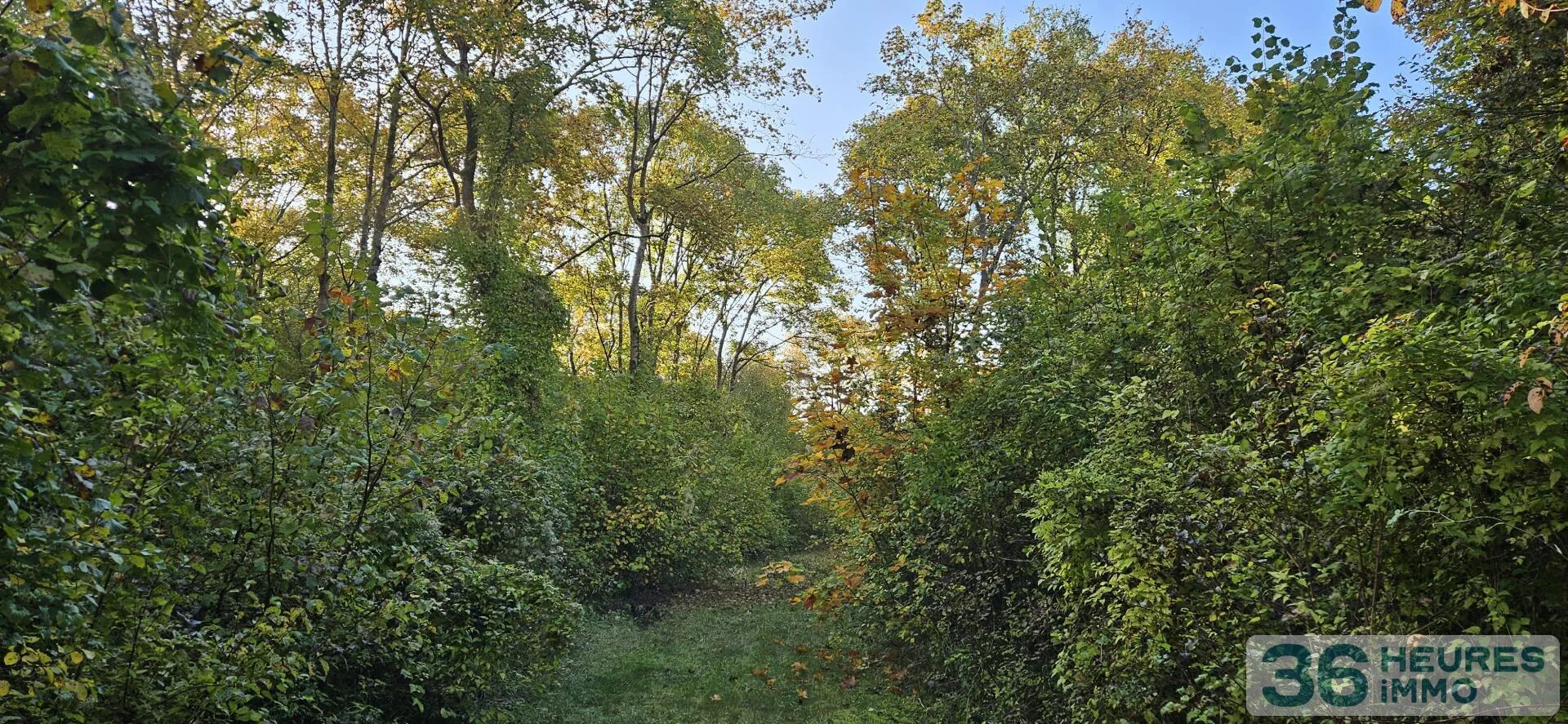 Propriété à Beine-Nauroy — photo 2