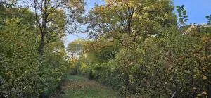 Propriété à Beine-Nauroy — vignette 3