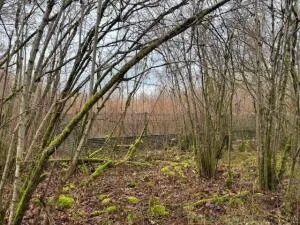 Propriété à Beine-Nauroy — vignette 19