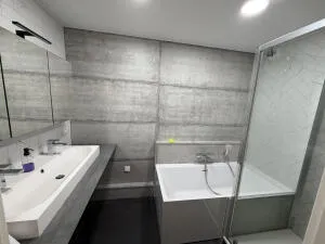 Appartement à Schiltigheim — vignette 11