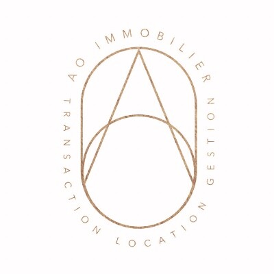 AO Immobilier