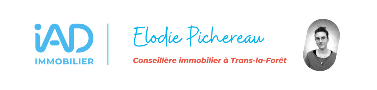 Photo de couverture IAD - Elodie  Pichereau
